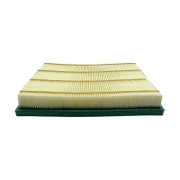 BIG FILTER GB-916 (GM 13272717, 835056) GB916